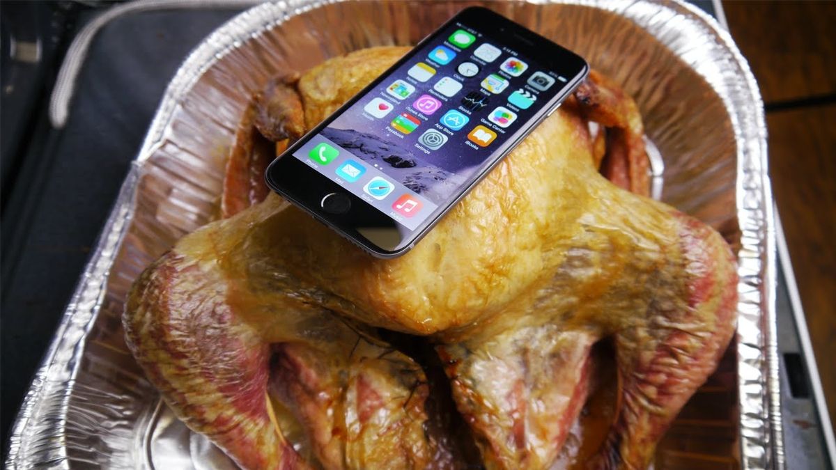 Çiftçinin kuşu iPhone'a öncülük ederek tartışma başlattı