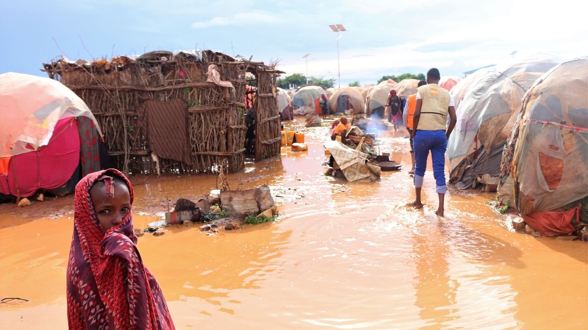 Flash Floods in Ethiopia: Climate Change's Deadly Toll