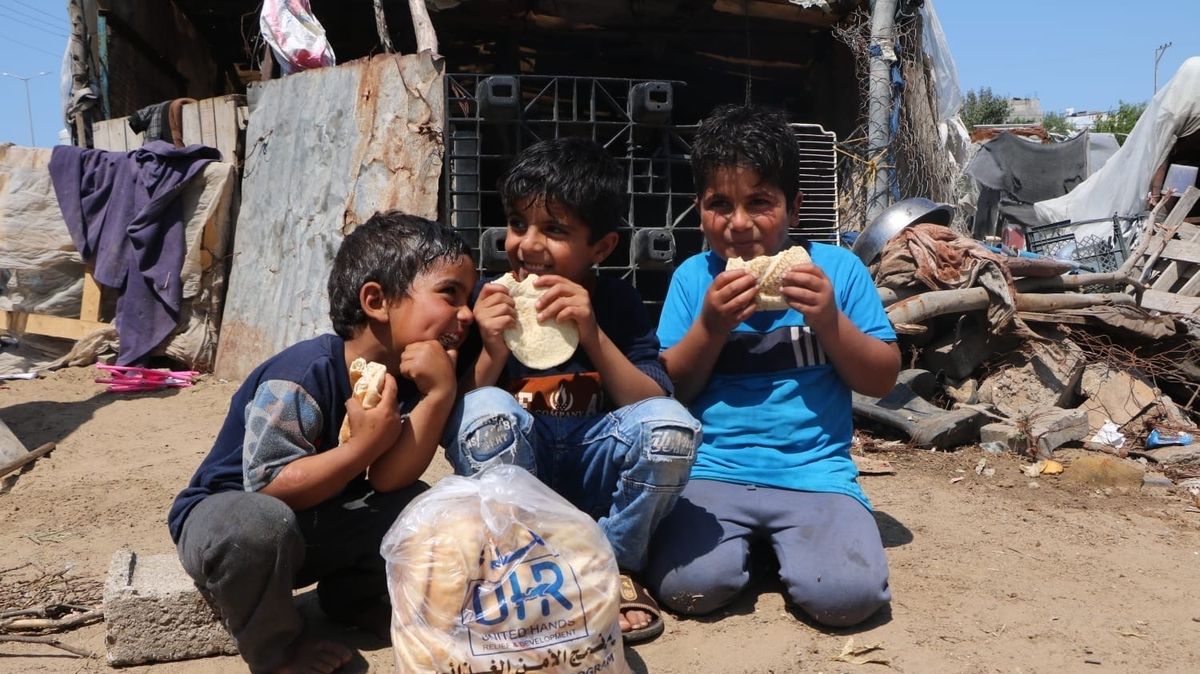 Entire Population Of Gaza Facing Food Insecurity Amid Israeli Attacks ...