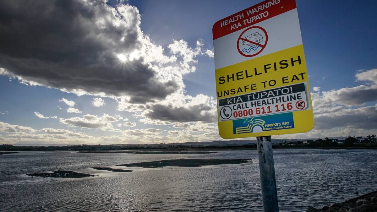 New Zealand Issues Public Health Warning Over Shellfish Toxins