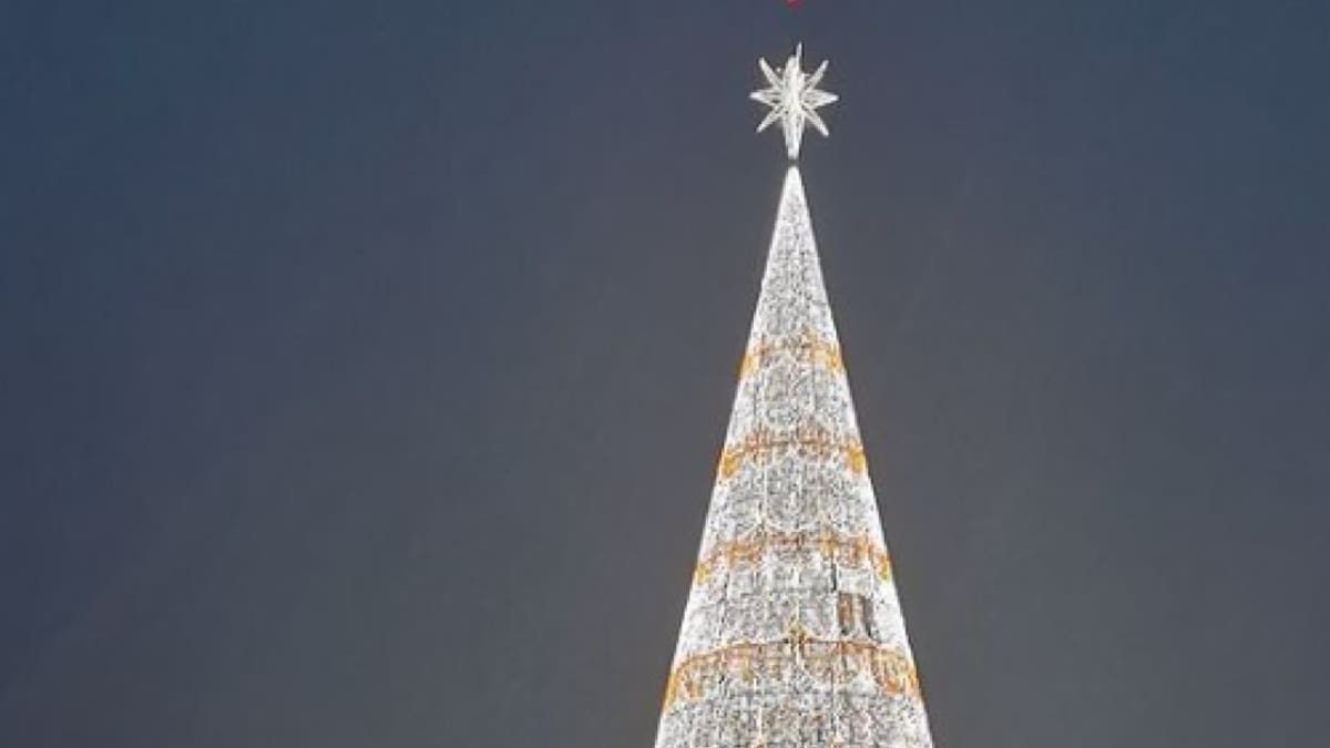 granada-s-surprise-the-tallest-christmas-tree-in-spain