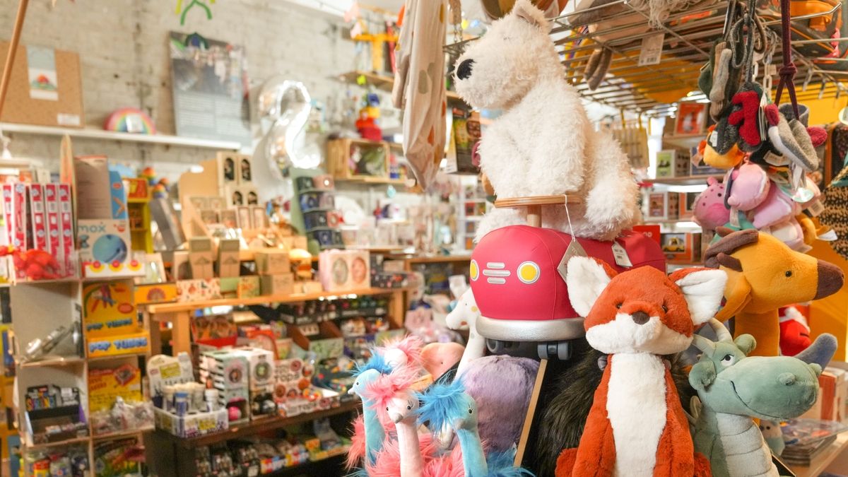 Canadian Toy Stores Grapple with BargainHunting Trend This Holiday Season