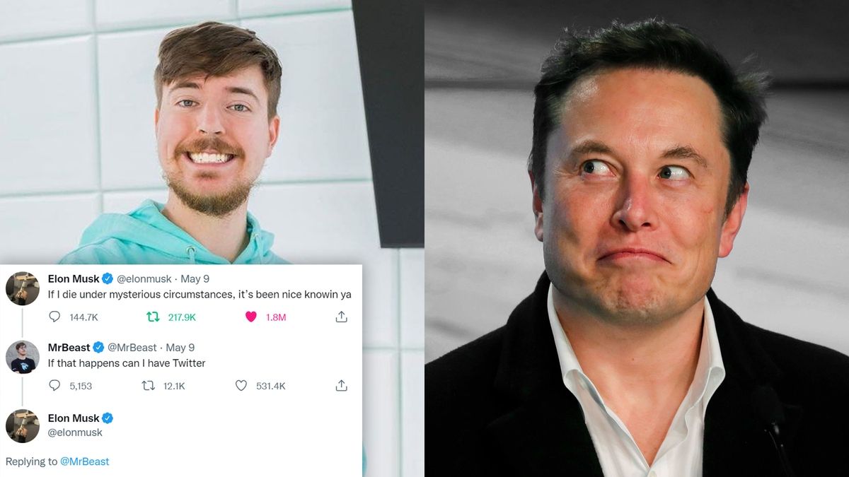 MrBeast, 's biggest star, tests X after Elon Musk invitation