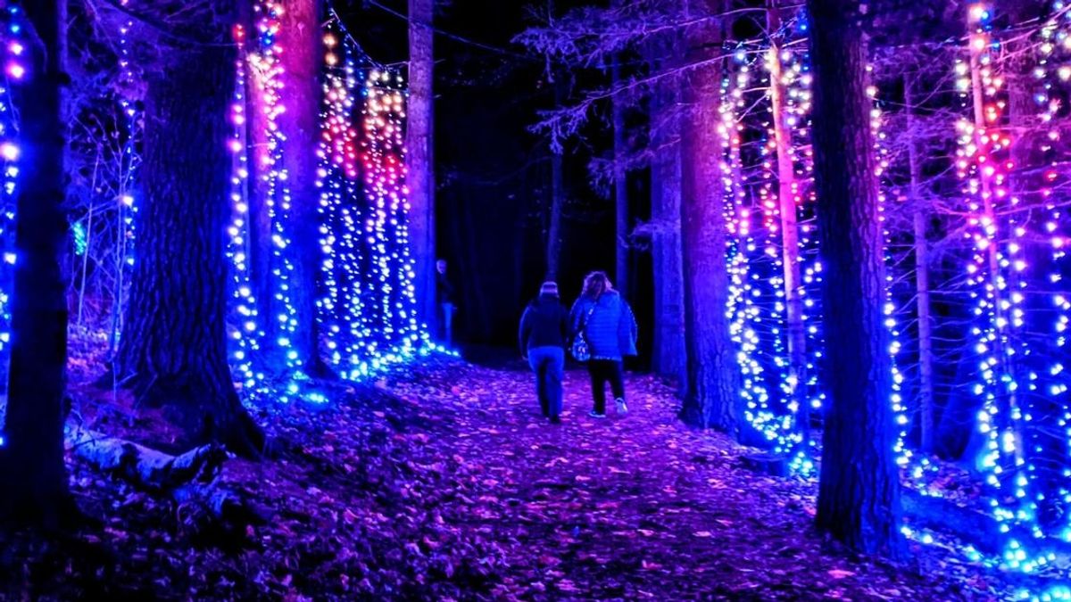 Naumkeag Transforms into a Luminous Wonderland with a Million Holiday ...