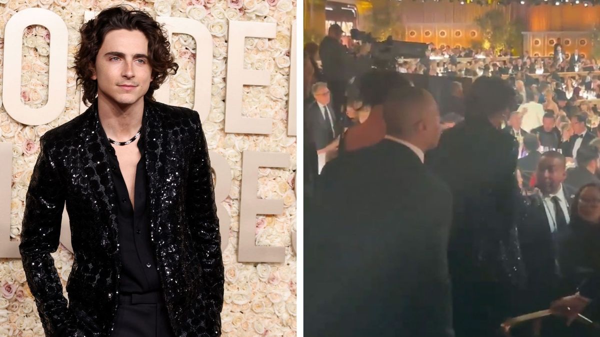 Timothée Chalamet: Biography, Actor, 2024 Golden Globe Nominee