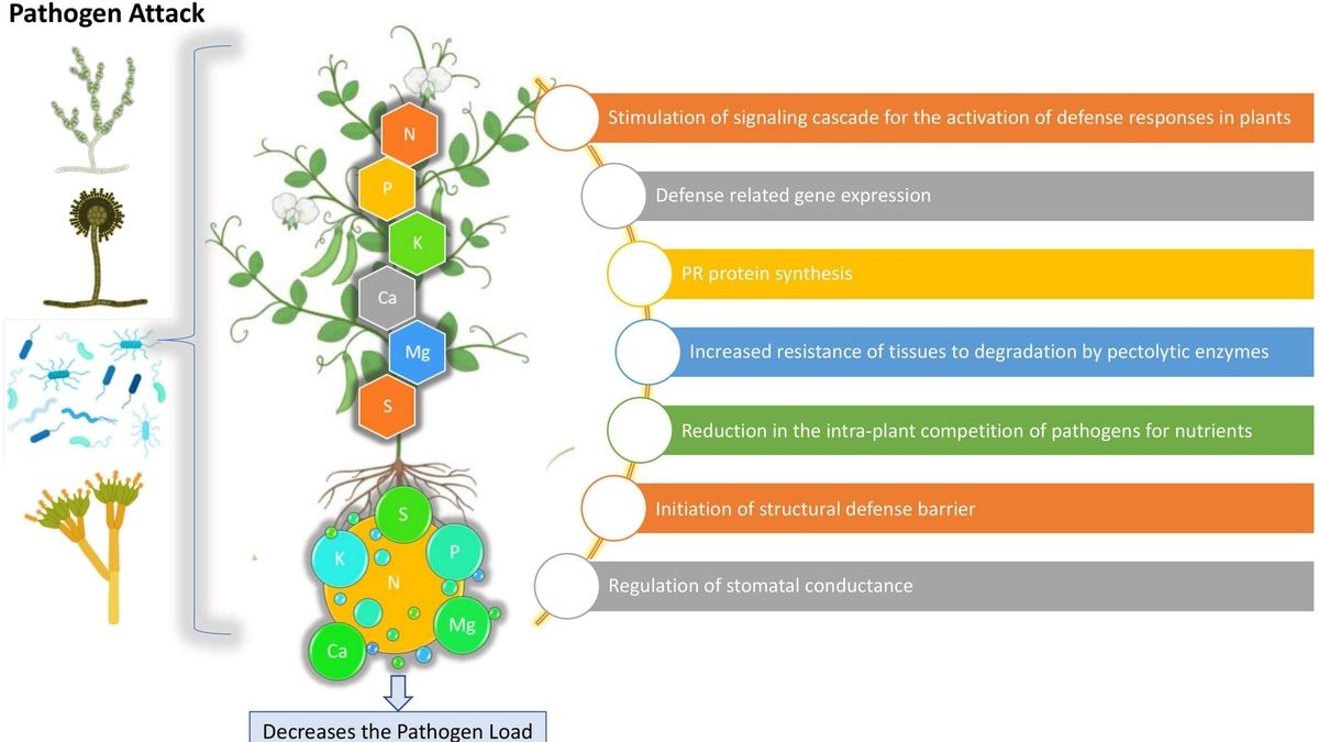 Chemical Use In Agriculture Linked To Nutrient Deficiency And Health   Chemicals In Agriculture 20240107080305 