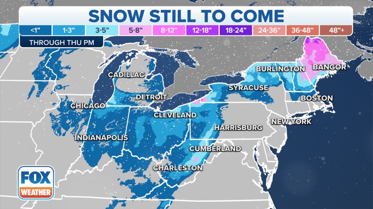 Bracing for a Cold Snap: Severe Winter Conditions Expected