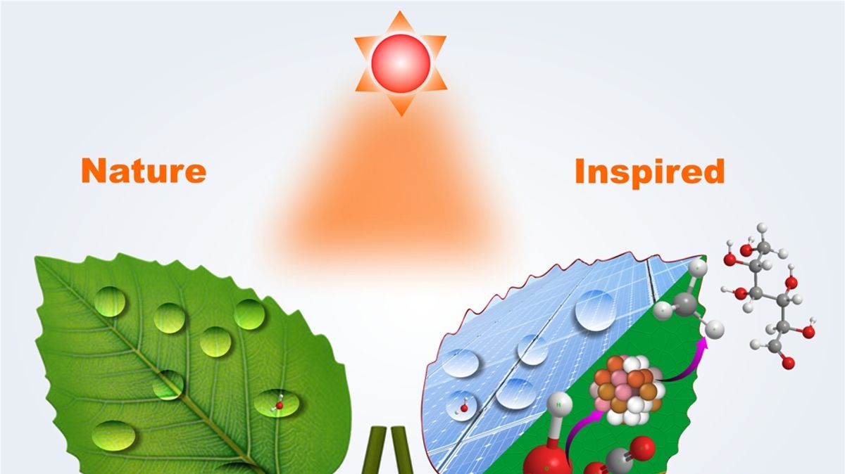 Nature Inspired EcoFriendly DeIcing Materials in Development