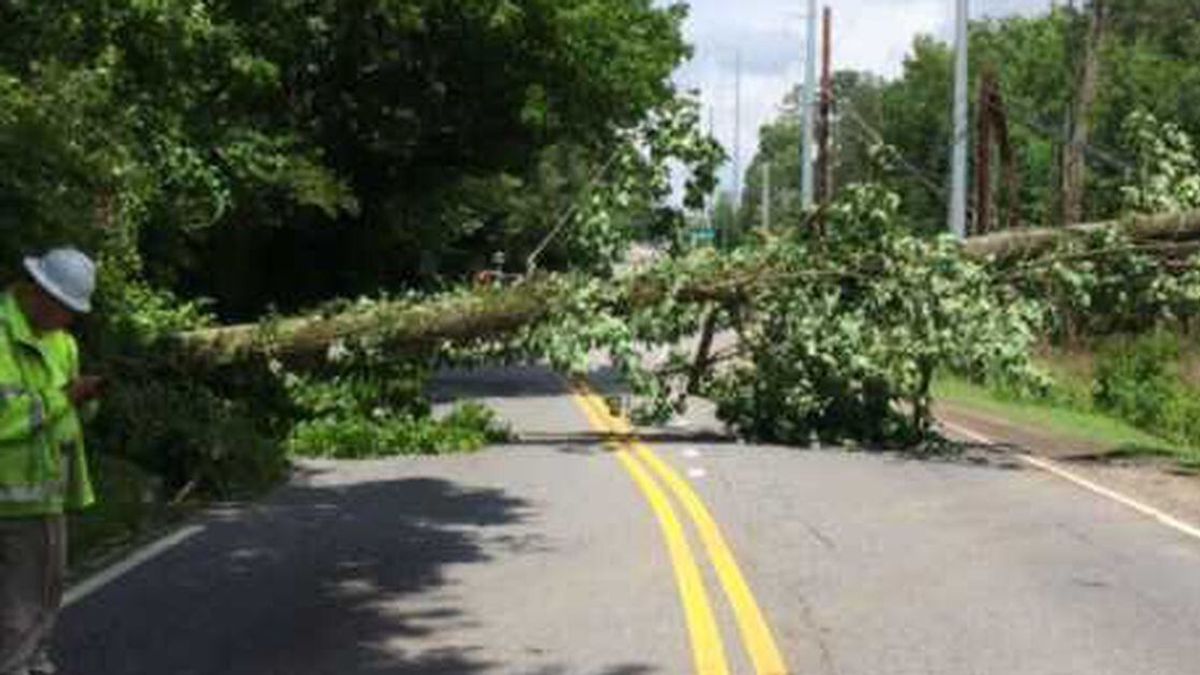 Tree Fall Triggers Power Outage and Road Closure in Sandy Springs,