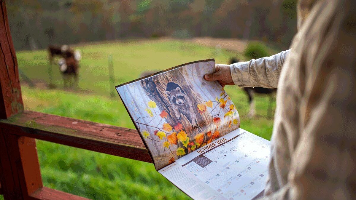 West Virginia Calls for Artists to Showcase Wildlife in 2025 Calendar