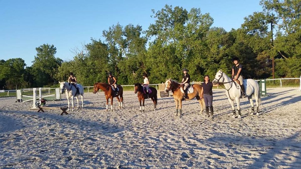 Bergen Equestrian Center Reveals New Equine Emotional Wellness Center