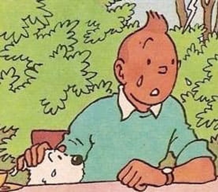why-is-tintin-crying