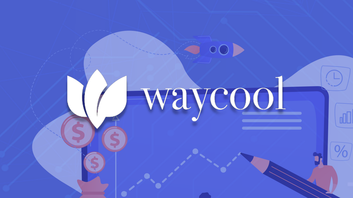 Exclusive: Waycool to raise $13 Mn debt from Grand Anicut