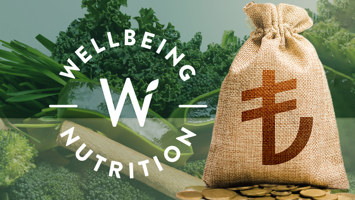 D2C brand Wellness Nutrition raises debt