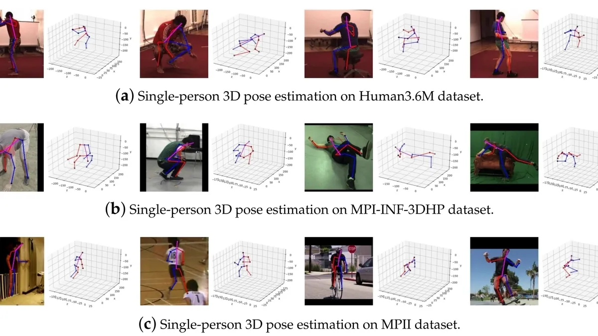 3D human pose estimation with cross-modality training and multi-scale local  refinement - ScienceDirect