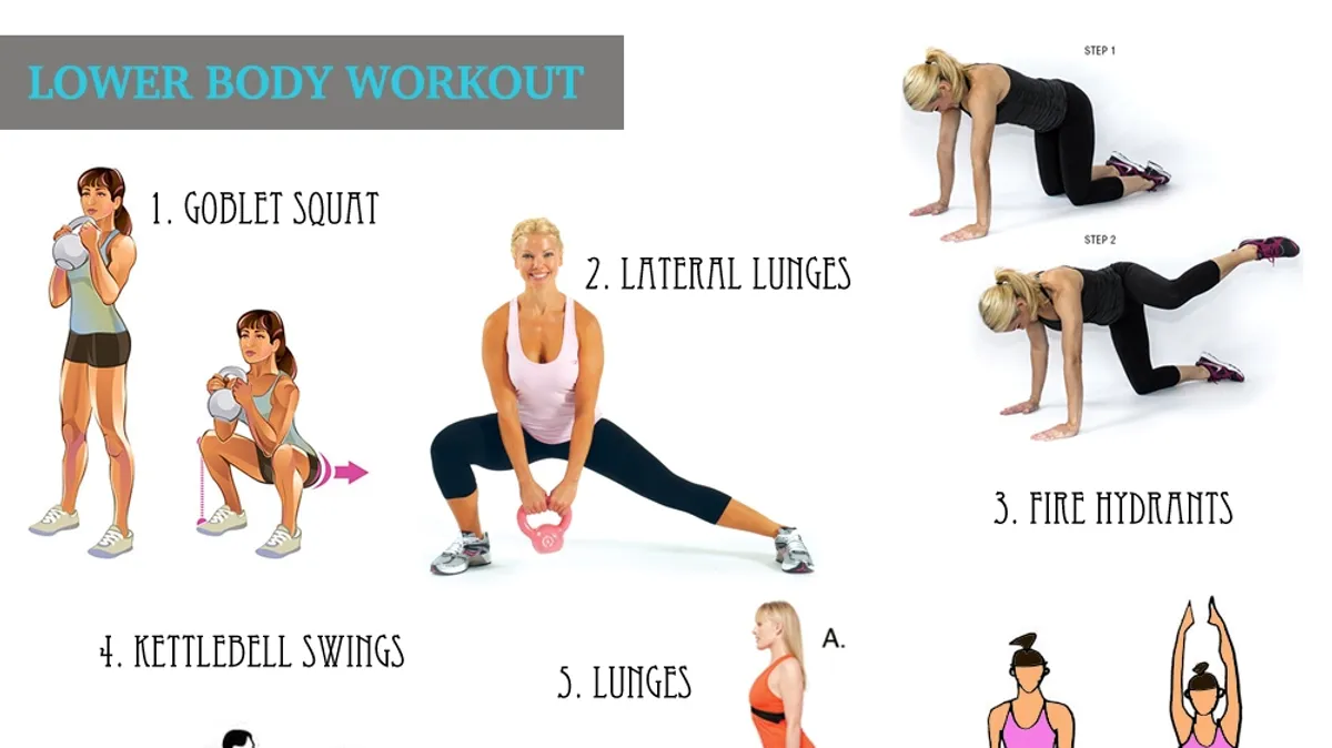 Lower body muscle 2025 exercises