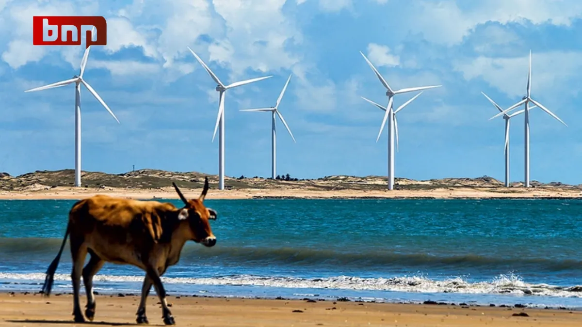 Brazil sets a new record in renewable energy generation in the year 2022