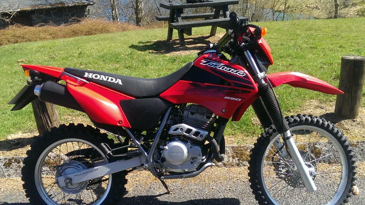 Honda tornado 250 store price