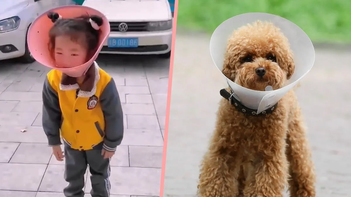 Child s Excessive Phone Use Curbed with Dog Cone An