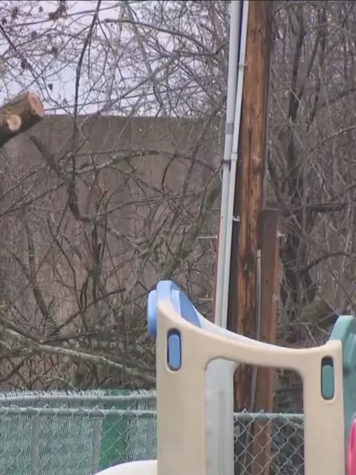 Severe Windstorm Triggers Major Power Outages in Western New York