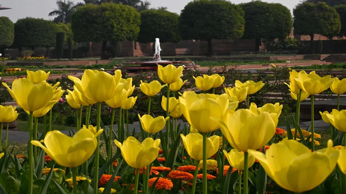 Mughal Gardens 2