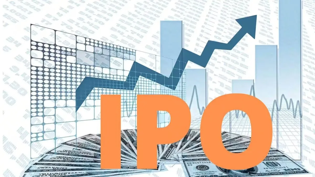 Sanstar IPO: Should you bet on the stock at Rs 95? Take a decision after looking at the strengths and weaknesses of the company