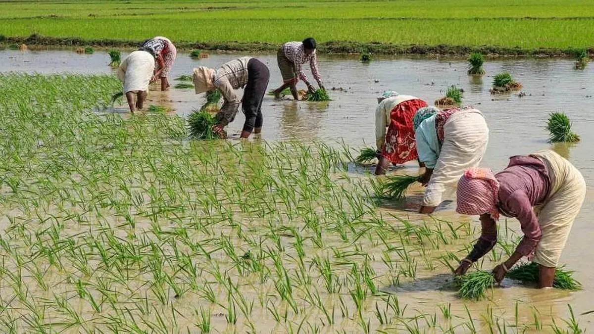 Monsoon Stocks: There are chances of heavy rains in the country this year, if the monsoon is better then these stocks will show their strength
