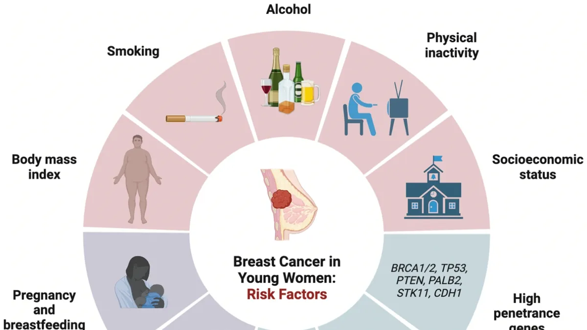 Breast Density and BMI Both Play a Role in Breast Cancer Risk