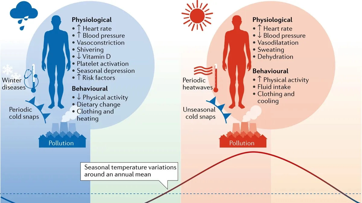 Physiological effects of cold