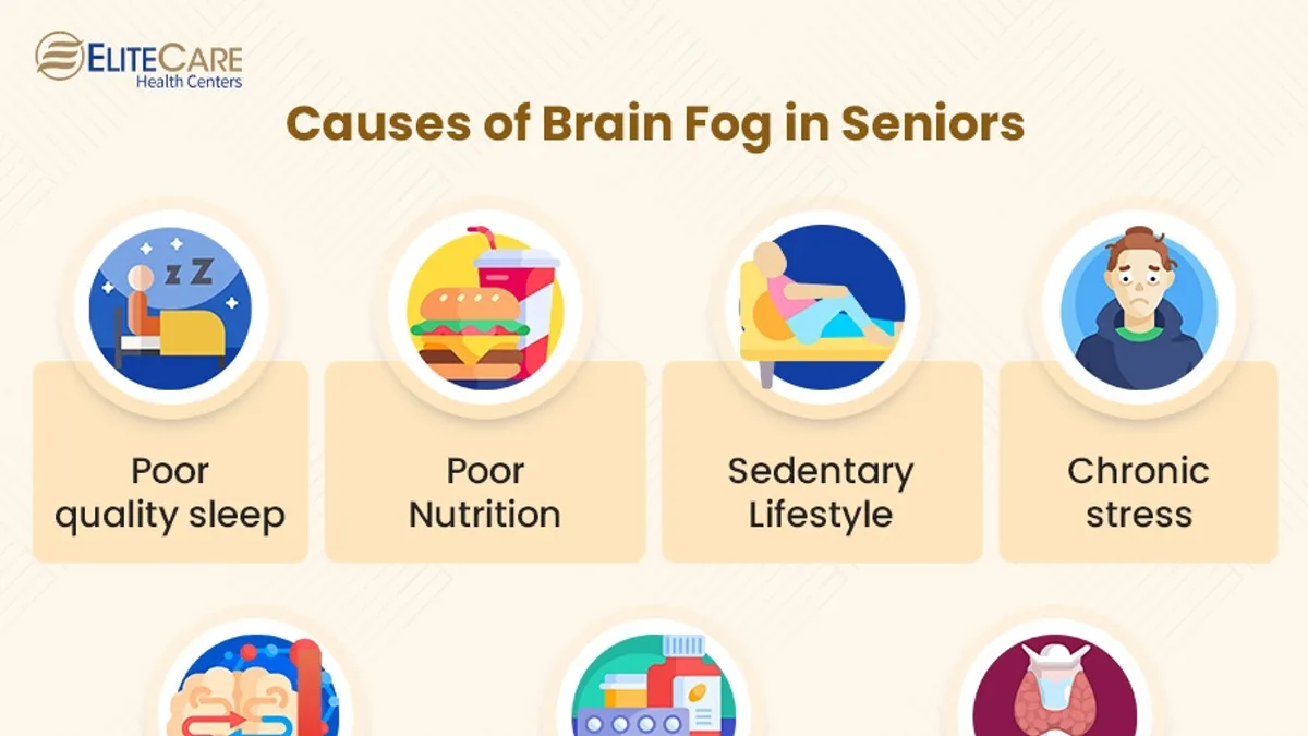 Brain Fog (Infographic)