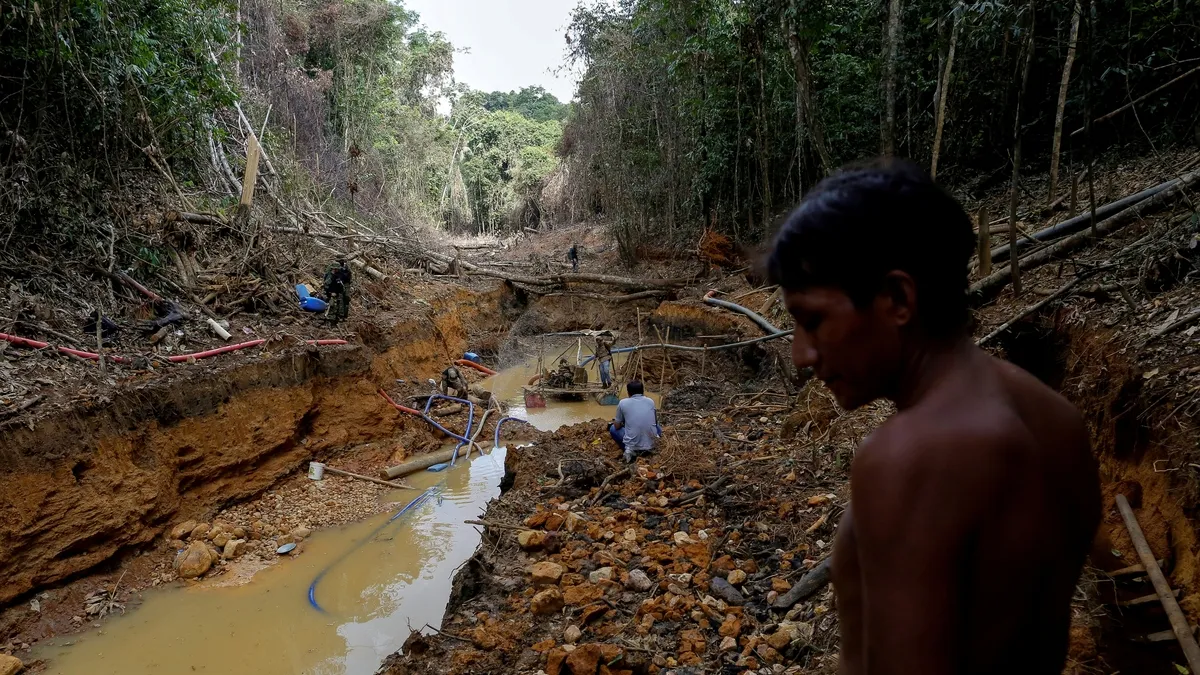The Yanomami Crisis: Samba School Highlights the Devastating