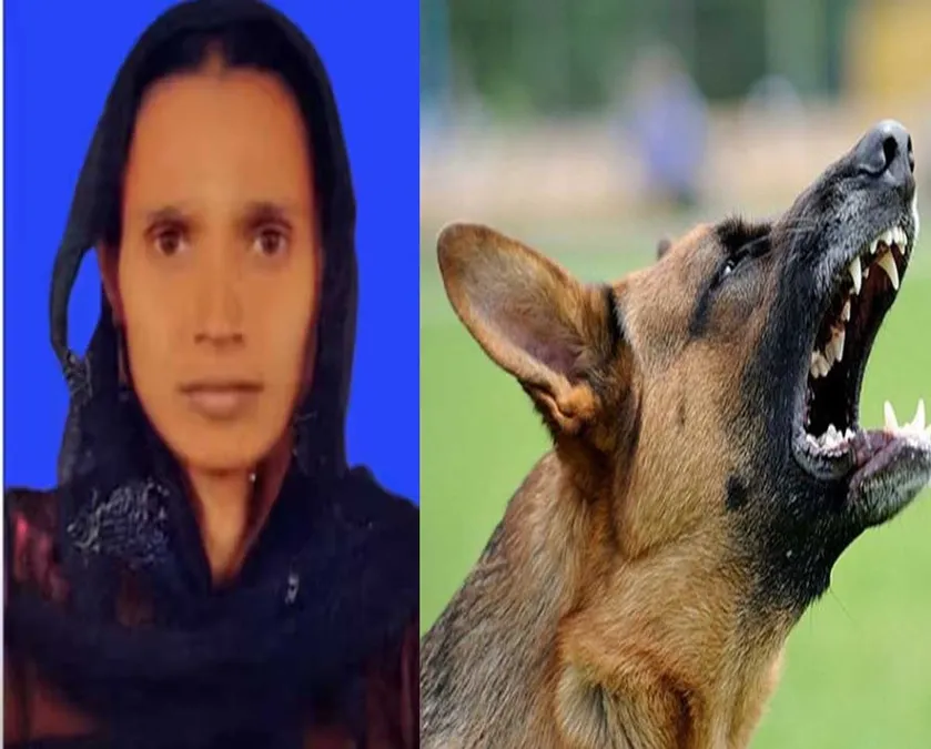 തെരുവുനായയുടെ കടിയേറ്റ യുവതി വാക്സിനെടുത്തിട്ടും പേവിഷബാധയേറ്റ് മരിച്ചു