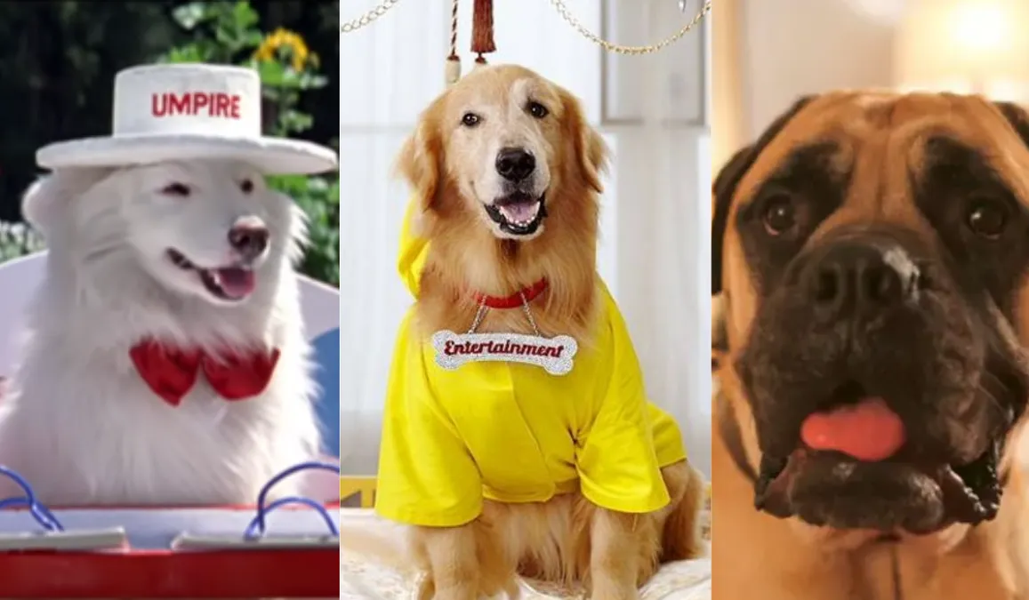 From Tuffy To Pluto The Most Memorable Dogs From Indian Films