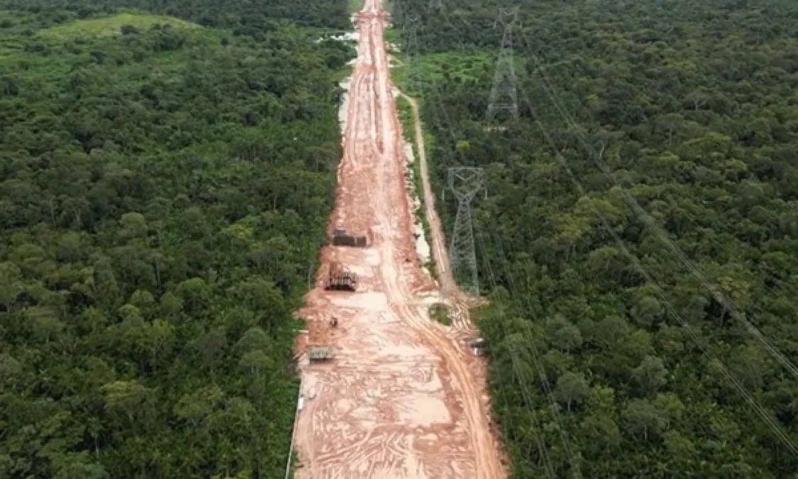 Brazil faces backlash for cutting down Amazon rainforest to build road for  COP30 summit