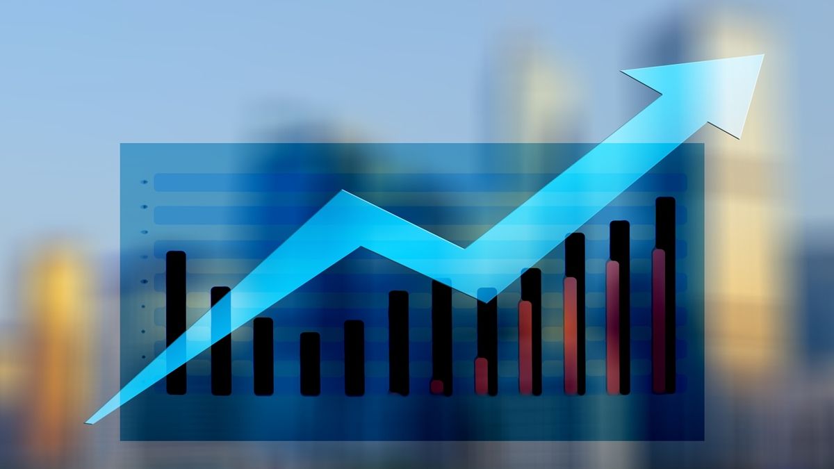 Top 5 Flexi Cap Funds: Top 5 Flexi Cap Funds gave up to 24% annual return on SIP in 10 years, what are their top 5 equity holdings?