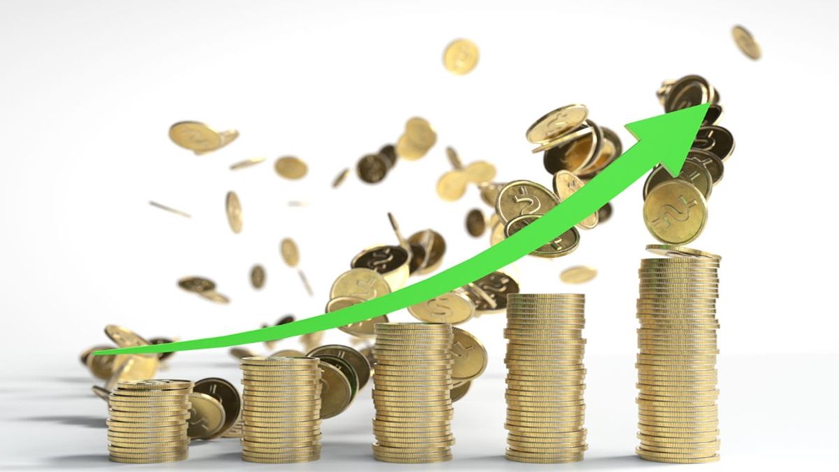 Best Multi Asset Funds: Top 7 multi asset funds gave returns up to 31% this year, how has been the performance in 5 and 10 years?