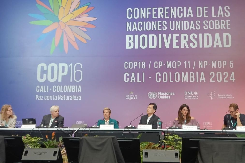 COP16 Summit In Colombia Ends Without Financial Roadmap Agreement