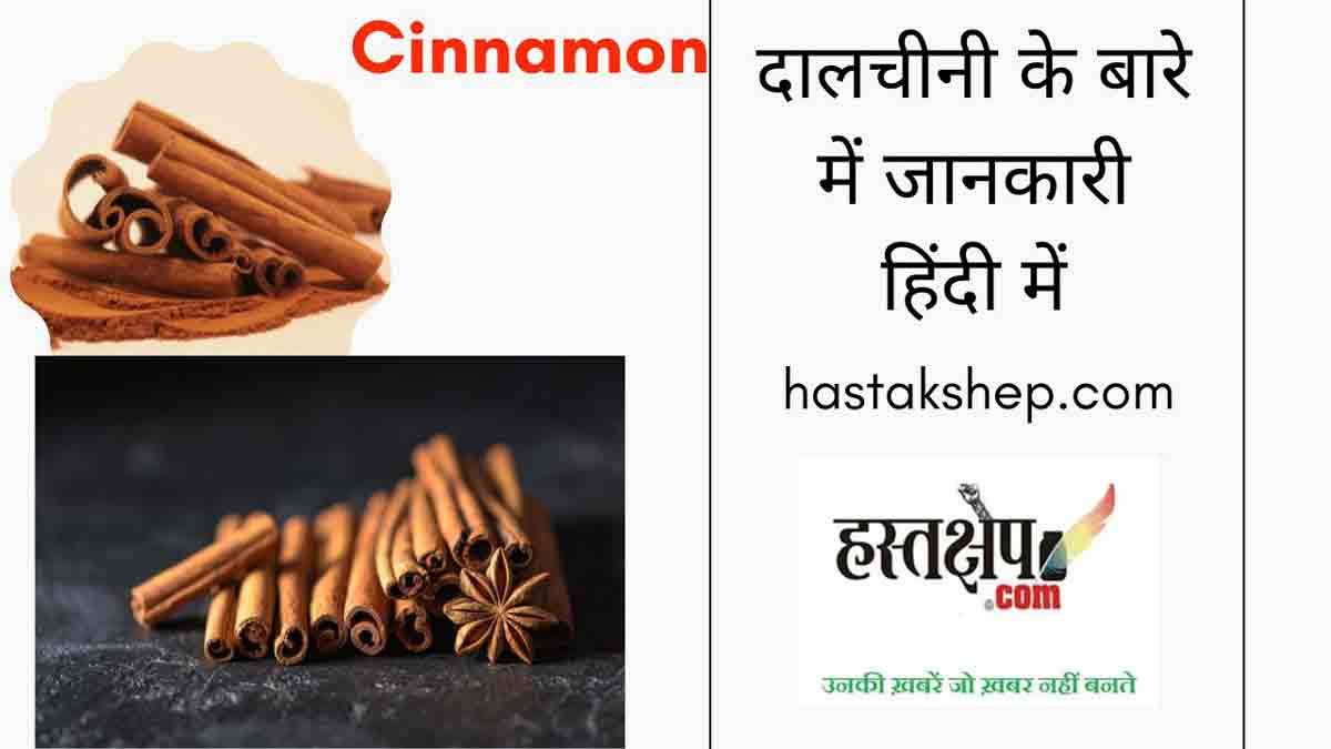 क्या आप भी जानते हैं दालचीनी के ये अनगिनत फायदे