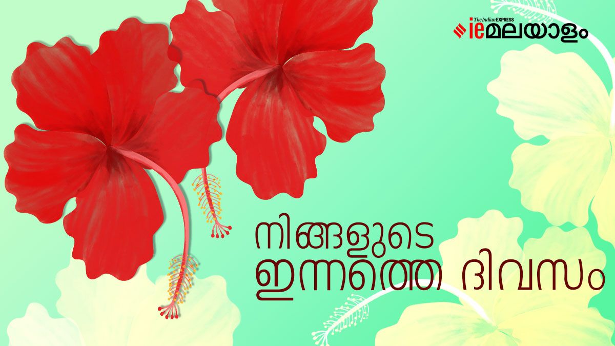 Daily Horoscope December 09, 2024 നിങ്ങളുടെ ഇന്നത്തെ ദിവസം, രാശി ഫലം