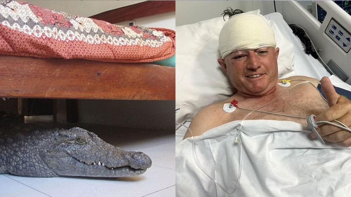 Former Zimbabwean Cricketer Guy Whittal Survives Leopard Attack: Latest Updates and Recovery News