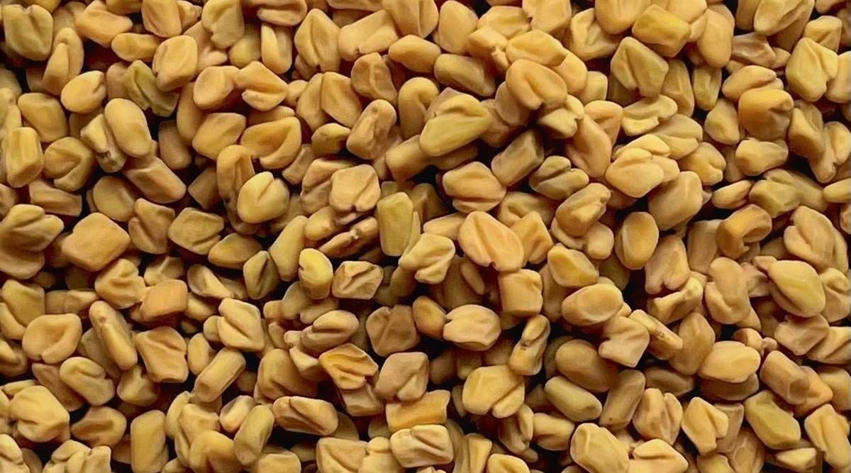 ഉലുവ വെള്ളം കുടിക്കൂ, പ്രമേഹവും ഉയർന്ന കൊളസ്ട്രോളും നിയന്ത്രിക്കാം