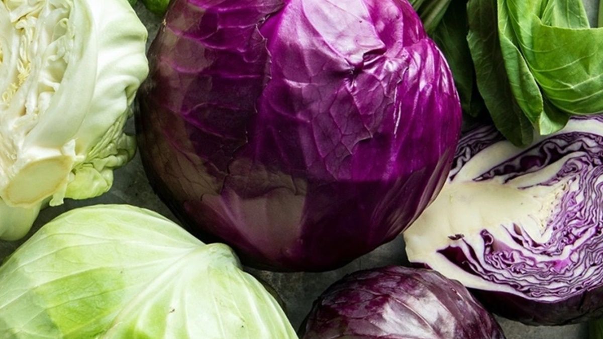 പ്രമേഹരോഗികൾ പർപ്പിൾ കാബേജ് കഴിക്കാമോ?