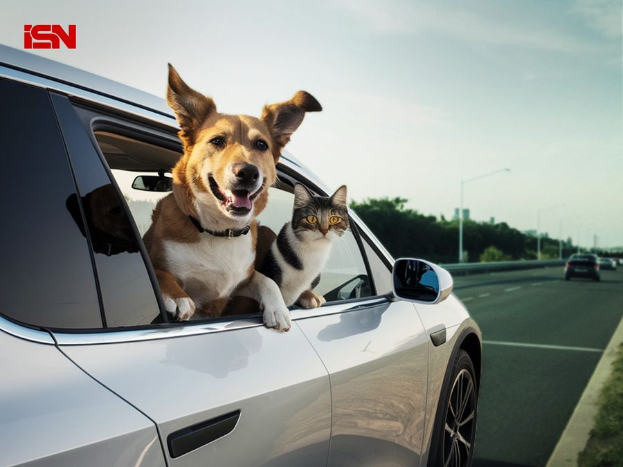 EV ride hailing firm BluSmart launches pet travel service in Delhi and Gurugram