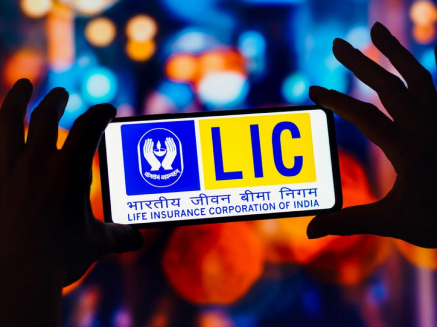 Here's why LIC net profit fell 50% to Rs 7,925 crore in Q2 FY24