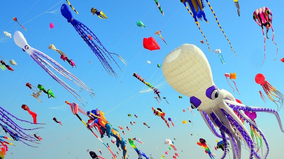 Here's Why you Must Visit the International Kite Festival 2025 in Ahmedabad