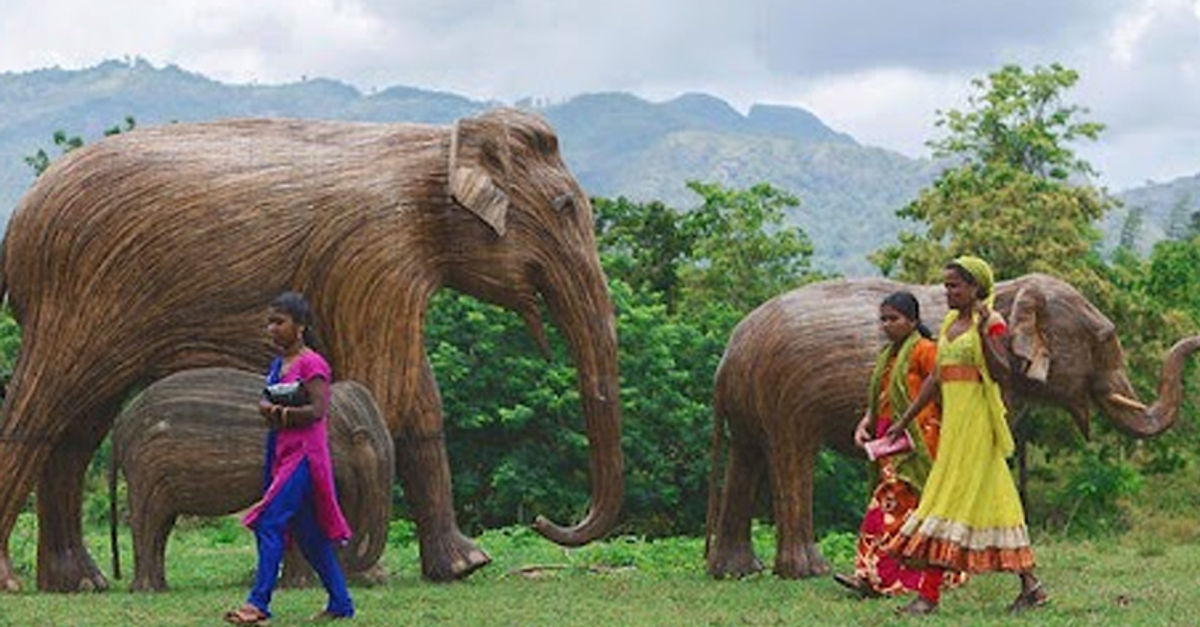 The Real Elephant Collective and Rang De are conserving the elephants