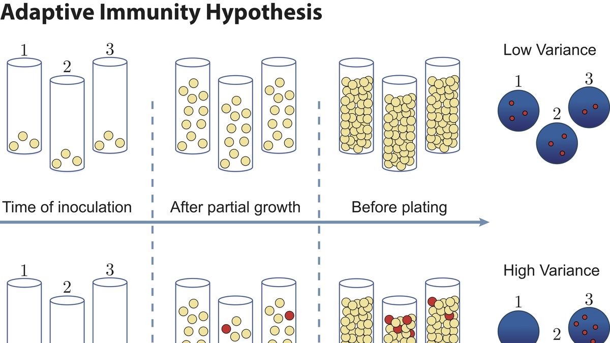 Unlocking the Secrets of Bacterial Resistance The Groundbreaking Luria