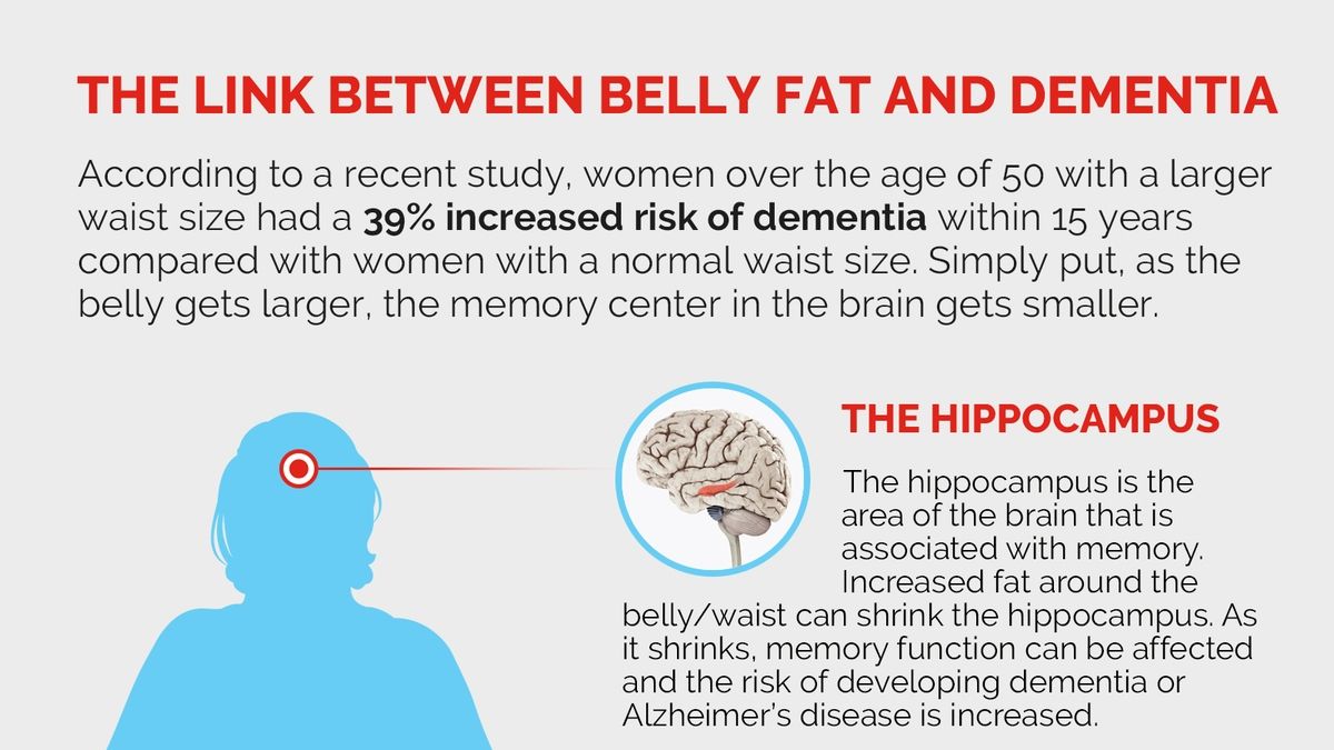 New Study Links Abdominal Fat To Cognitive Decline In High-Risk ...