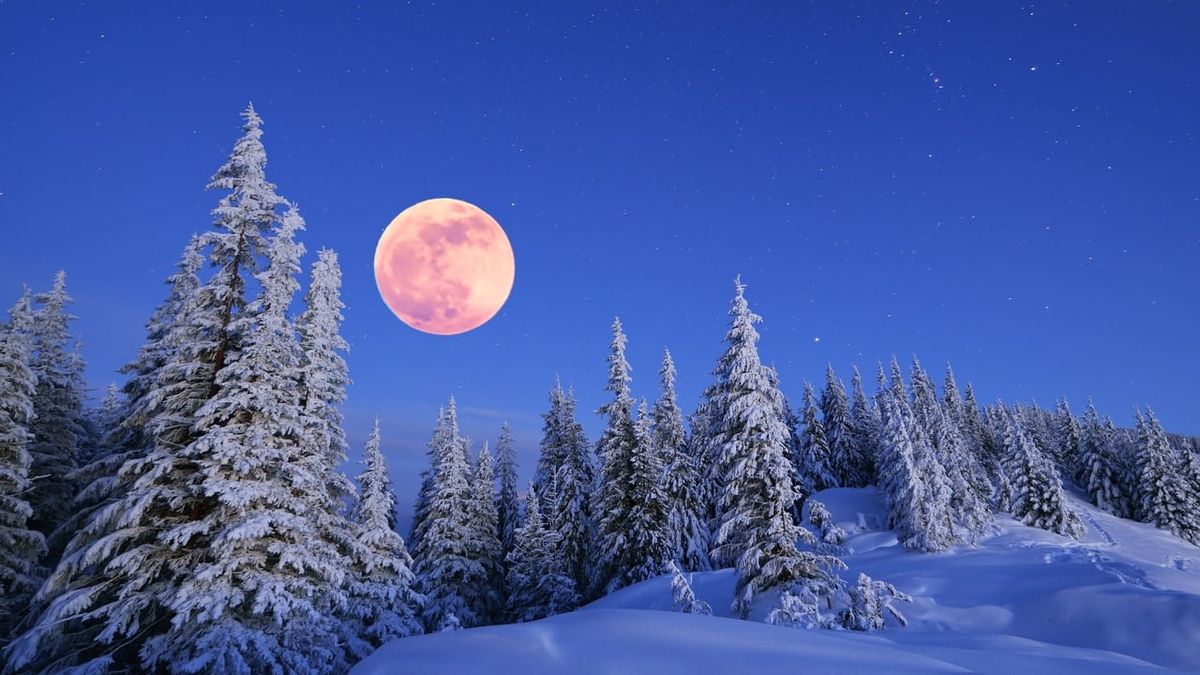 The Snow Moon's Splendor: A Night of Wonder and Reflection