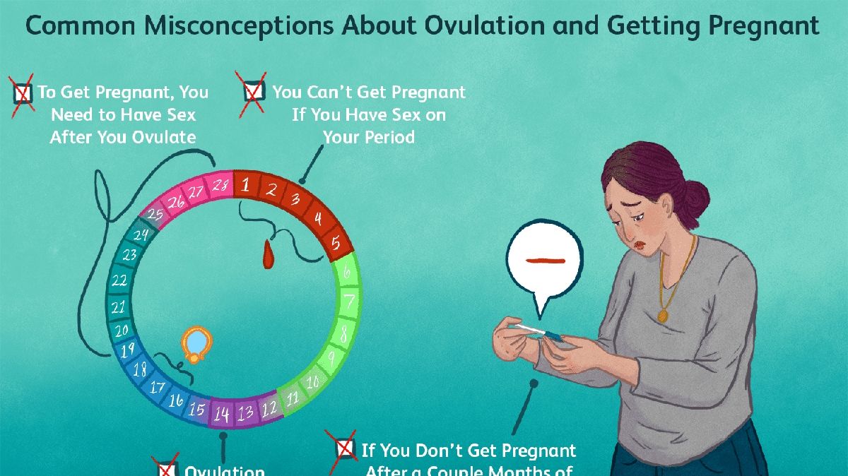 Navigating the Misconceptions Can You Get Pregnant During Your Period?